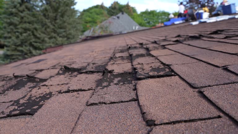 Best Metal Roofing Installation  in Arlington, NY